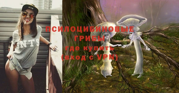 ECSTASY Балабаново