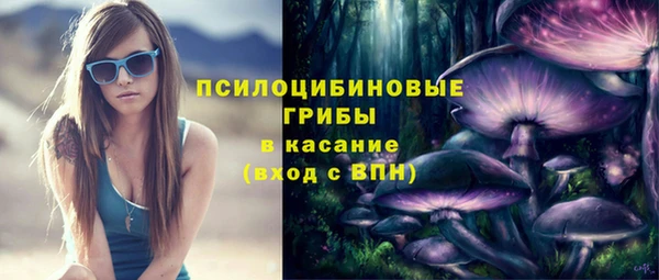стаф Михайлов