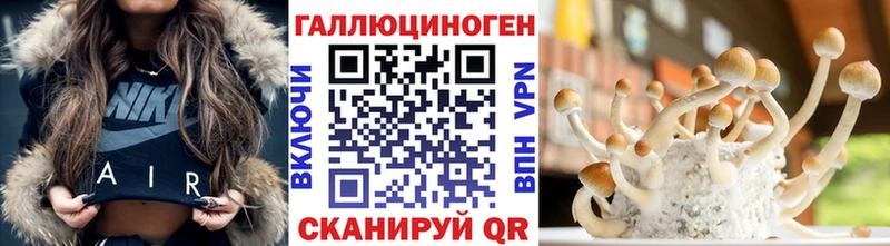 Галлюциногенные грибы Magic Shrooms  mega сайт  Сунжа 