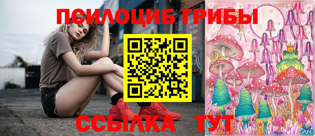 Псилоцибиновые грибы Cubensis Сунжа