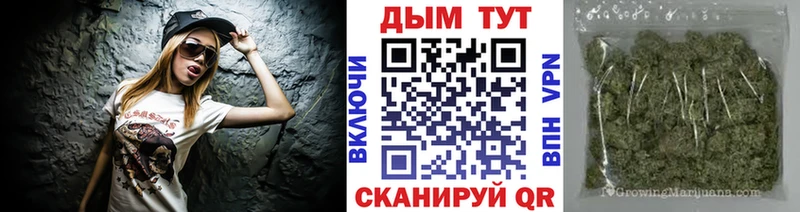 Каннабис план  Сунжа 